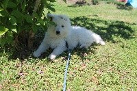 OONA