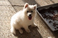 NEIGE